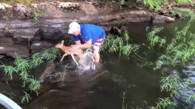 A baby deer was stuck in a pond and couldn't get out. Hero to the rescue!