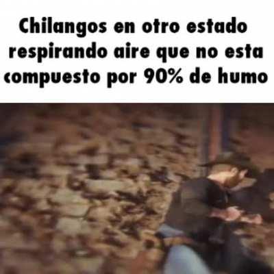 Chilangos pendejos Bv