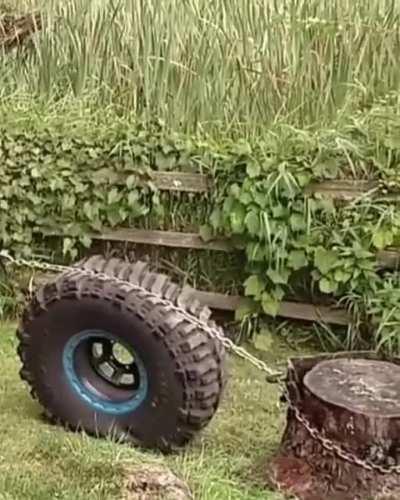 Tree stump getting removed