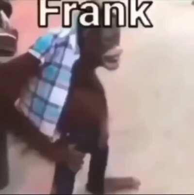 frank do be in shirt and kinda makmak