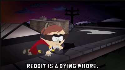 The Coon: Reddits Protector