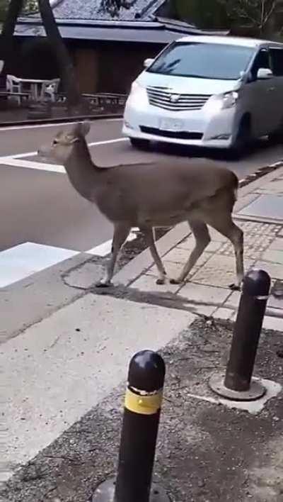 Japonya'daki uygarlık