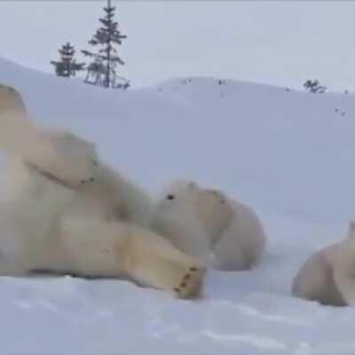 🔥 Mama and baby bear 🔥