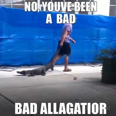 bad aligator, no monkeys for you