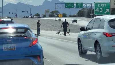 The 215 held up today by rich geese and their personal security. I'm tired of our avian elites ruling us pheasants.