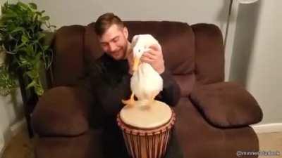 Drummer duck. It was always percussions. Keys was never an option.