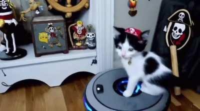 Sora “An adorable kitten pirate riding a robot vacuum around the house”