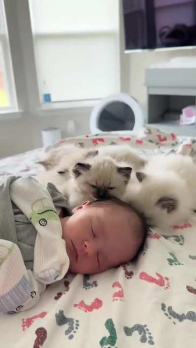 Eyebleach