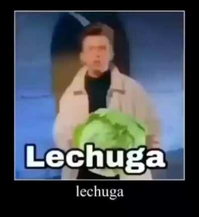 Lechuga