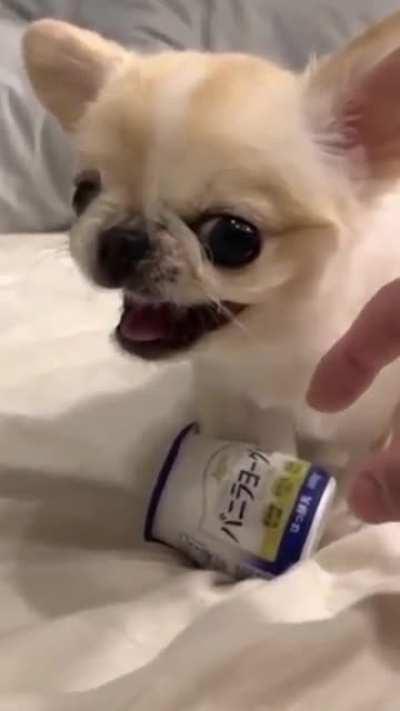 Don't you dare touch My Yogurt - credits: furbynfurryfriends