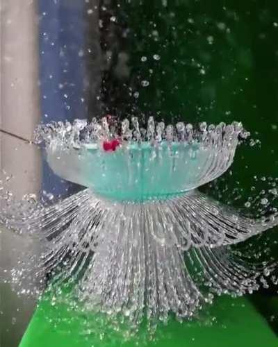 Water Flower Effect