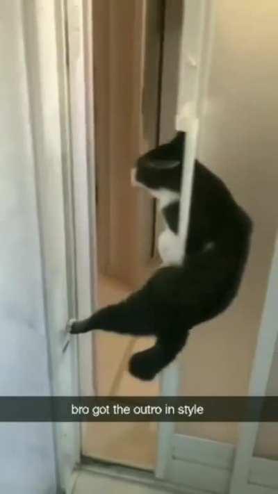 Genius cat open sliding door... with style