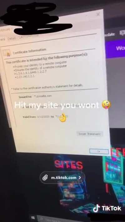 Tiktokker finds free one click instant website, thinks SSL is ddos protection and an https certificate is an IP address