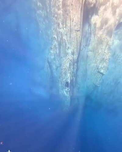 Barracuda Lake on Coron Island, Philippines. Exceptional clarity and levels of hot and cold water. A unique diving experience.