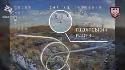 Ukrainian FPV drone shoots down Russian Mavic in Zaporozhye region