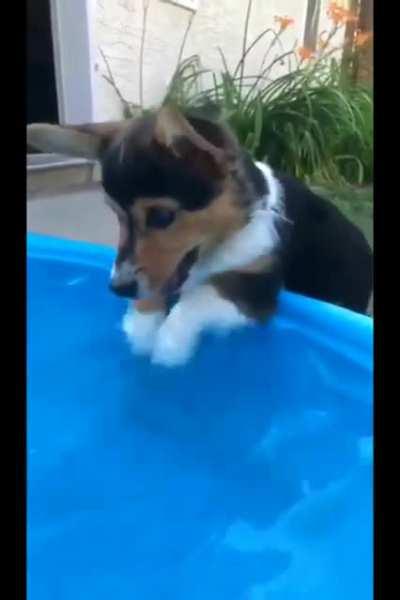 First day of swimming lessons, enthusiasm 11/10