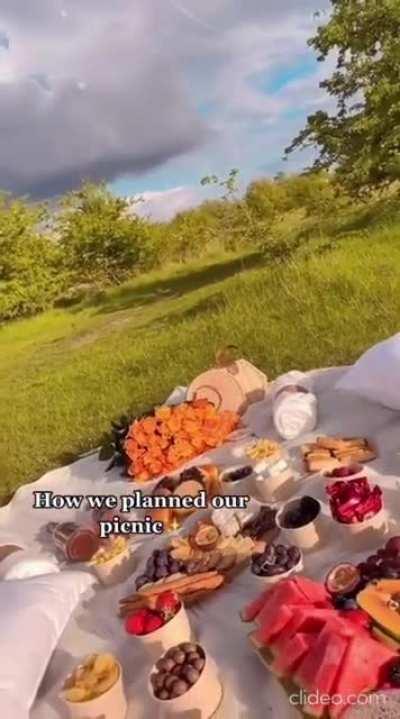 WCGW having a picnic in the wild