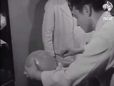 Training Barbers with a balloon, 1950