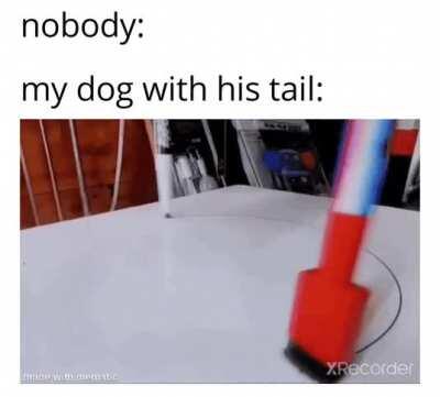 tail tail TAILS