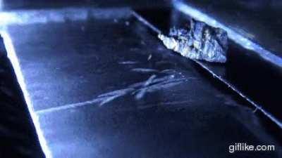 Radioactive emissions from Uranium that are visible to the naked eye in a cloud chamber