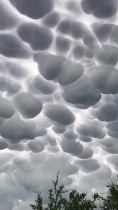 🔥After a tornado event (alert/watch/warning) wonderful mammatus clouds are quite common