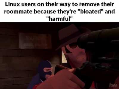 i play tf2 on linux