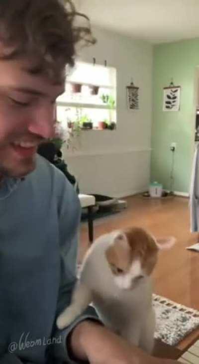 Cat is utterly infatuated with her handsome owner