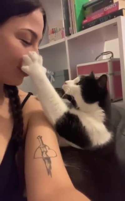 Video of a cat demanding a kiss (Source in the comments)