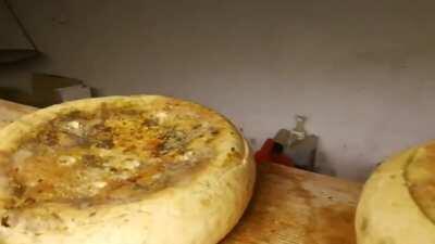 Casu Marzu, a sardinian delicacy. It's rotten cheese with maggots