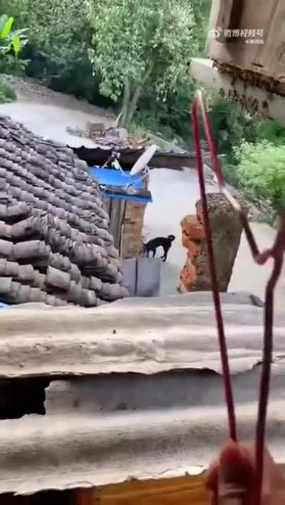 Beekeeper protecting his bees from being attacked by hornets.