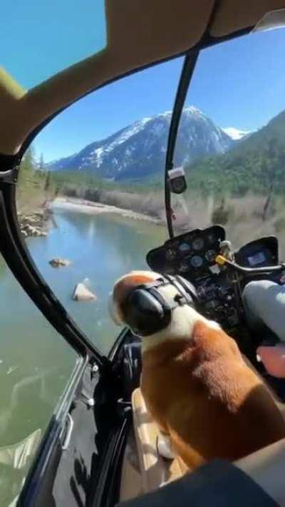 Taking the good boy down the river in style