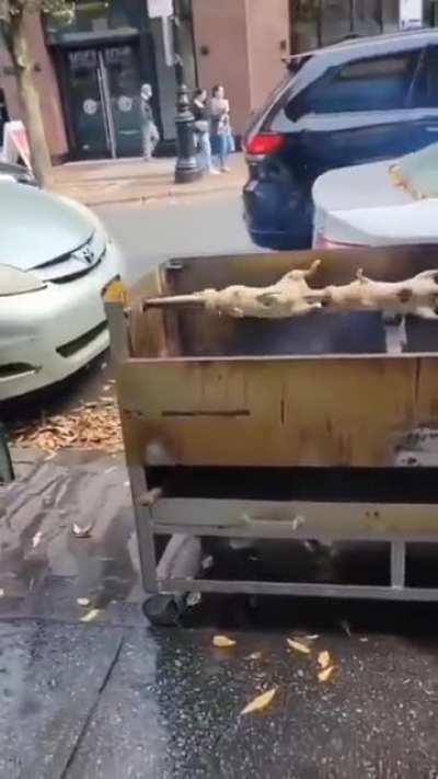 If I can make it here, I can make it anywhere! (rat bbq in a New York street outside a Smashburger)