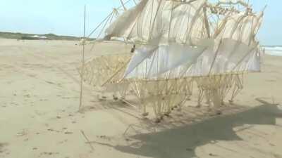 Theo Jansen has spent the last 28 years designing and building a series of wind-powered creatures called Strandbeests or &quot;beach animals&quot;, a true embodiment of art, science, engineering, and performance.