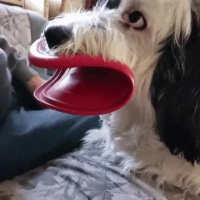 Frisbee lips