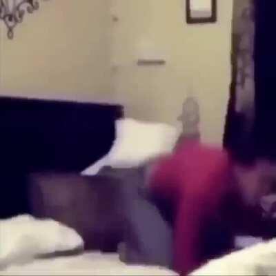 WCGW doing flips on your bed (sound on for a better experience)