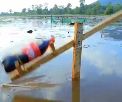 Fishing with a cola bottle