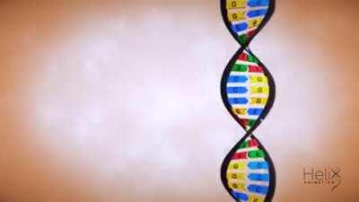 Zooming in from your cells to DNA (or deoxyribonucleic acid, is the hereditary material in humans and almost all other organisms. Nearly every cell in a person’s body has the same DNA)