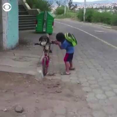 A young boy fits a face mask on his dog before putting on his own, as they prepare for a bike ride together