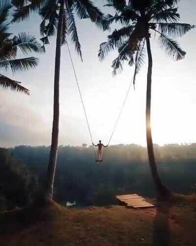 This swing!