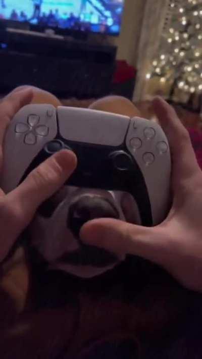 so why is this controller wet?