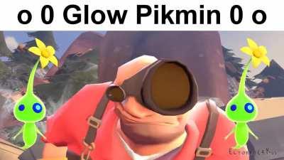 Glow Pikmin be like: o 0