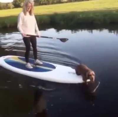 Zoomies in the water :)