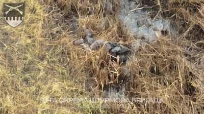 Drone pilots from the 92nd Assault Brigade, striking Russian infantry with dropped-grenades in the Andriivka-Kurdumivka area