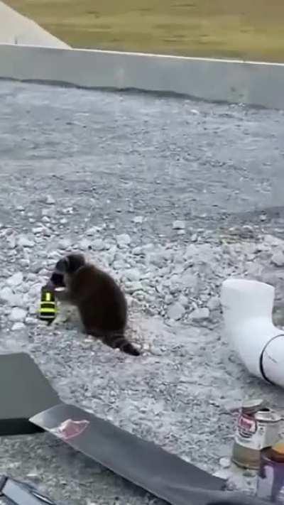 Weird looking Cat becomes man's best friend.