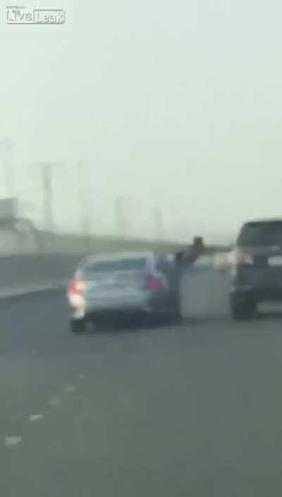 WCGW Trying to hit a moving car