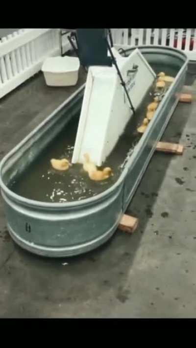 A duck slide