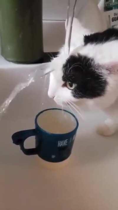 To drink