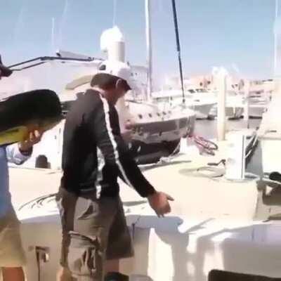 🔥 Seal casually stealing a fisherman’s catch while he’s posing with it 🔥