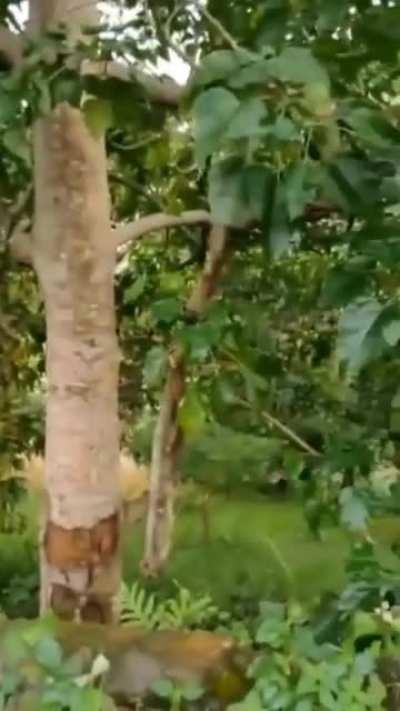 WCGW try to standing up in your bike