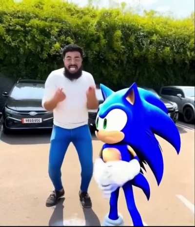 Armenian cory x Sonic Fan video extended edition